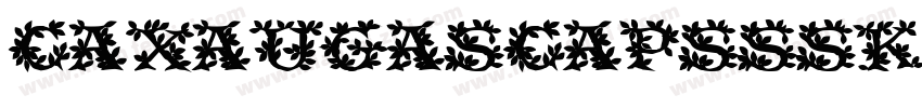 CayaugaSCapsSSK Bold字体转换